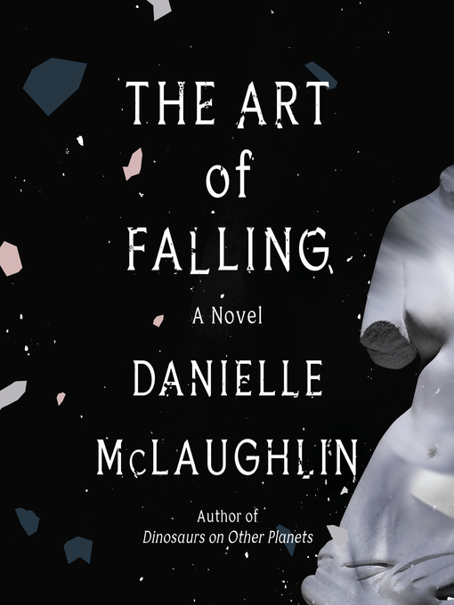 Title details for The Art of Falling by Danielle McLaughlin - Available